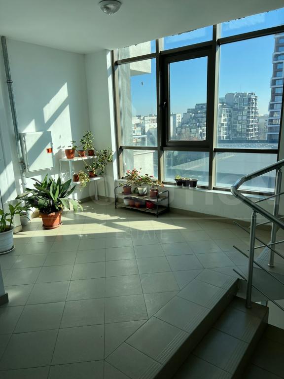 Two bedroom apartment image 61134