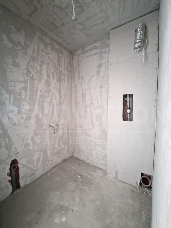 studio image 61825
