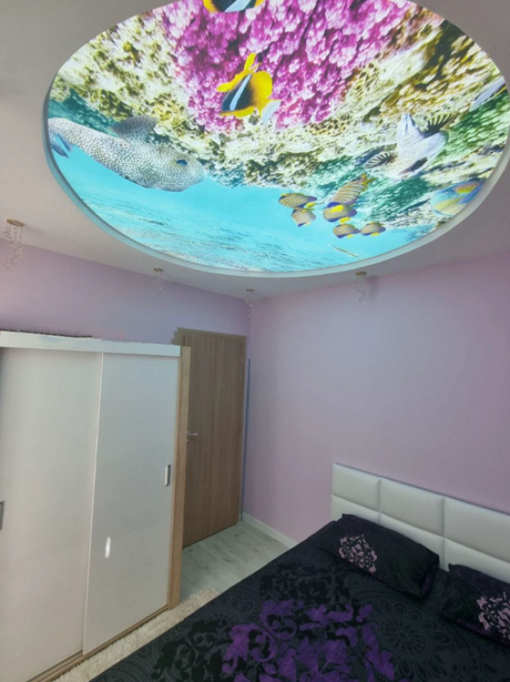 two room image 65624