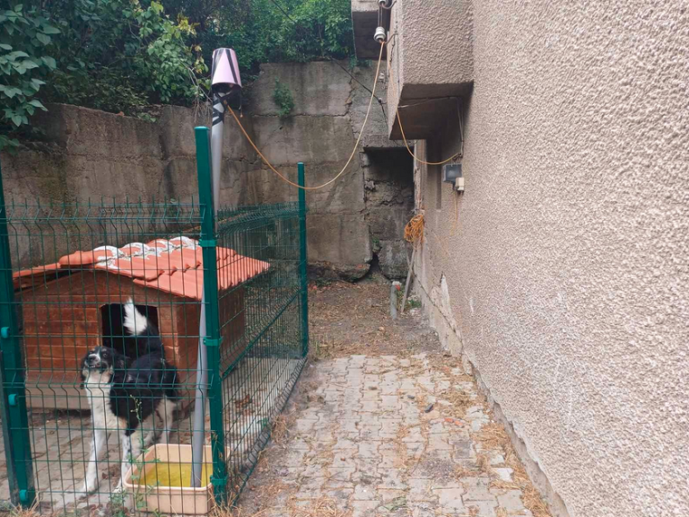 House image 68446