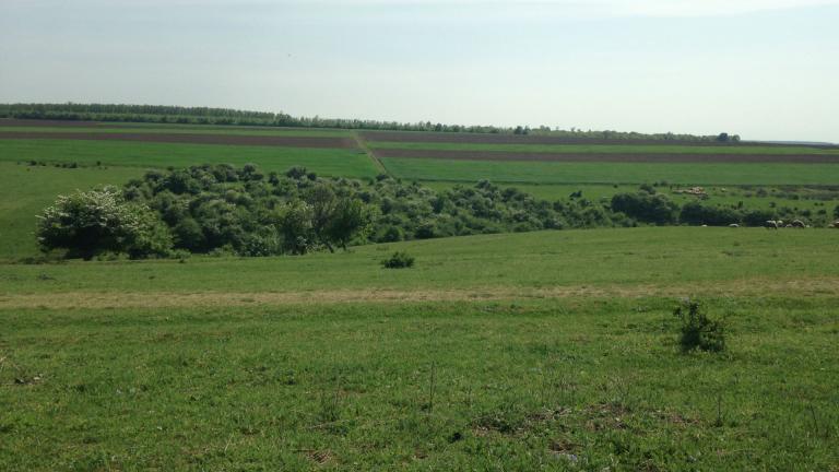 Парцел в с. Ярджиловци