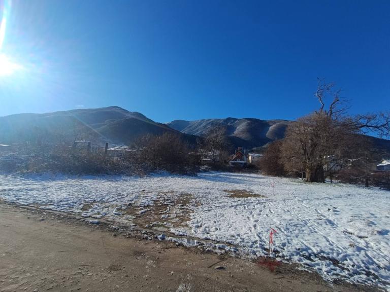Land property in the town of Sapareva Banya image 76368