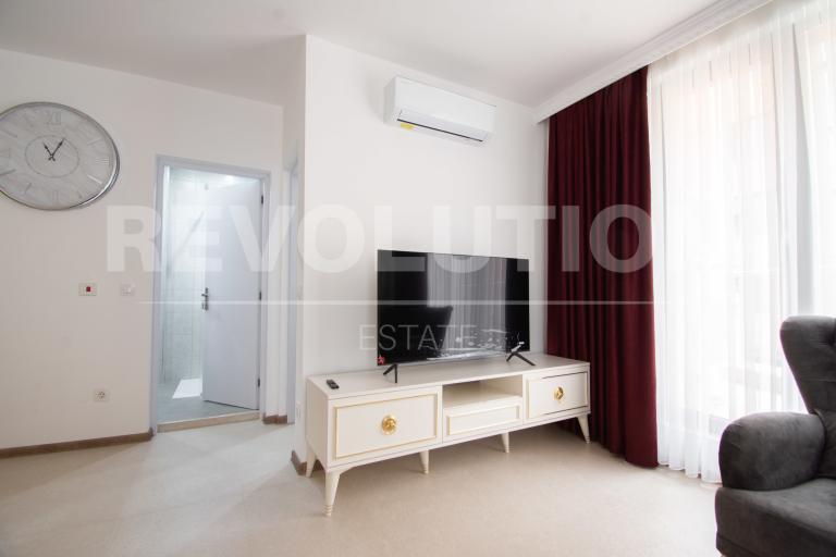One-bedroom apartment image 48869