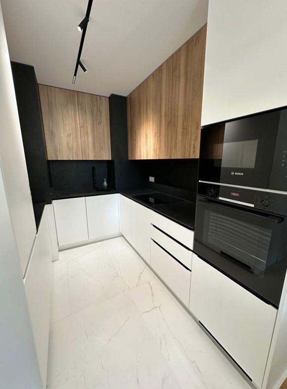 one-bedroom apartment image 4