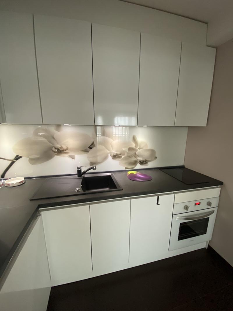 one-bedroom apartment image 3