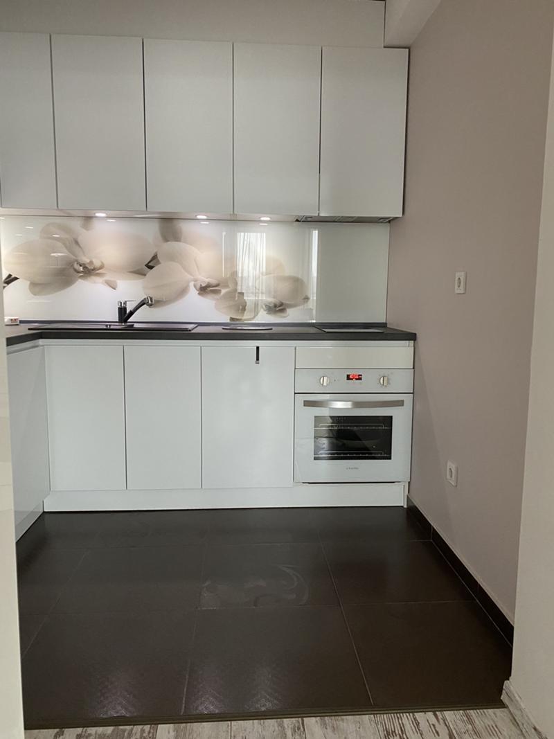 one-bedroom apartment image 4