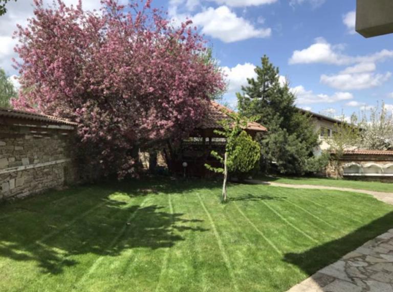 House image 50939
